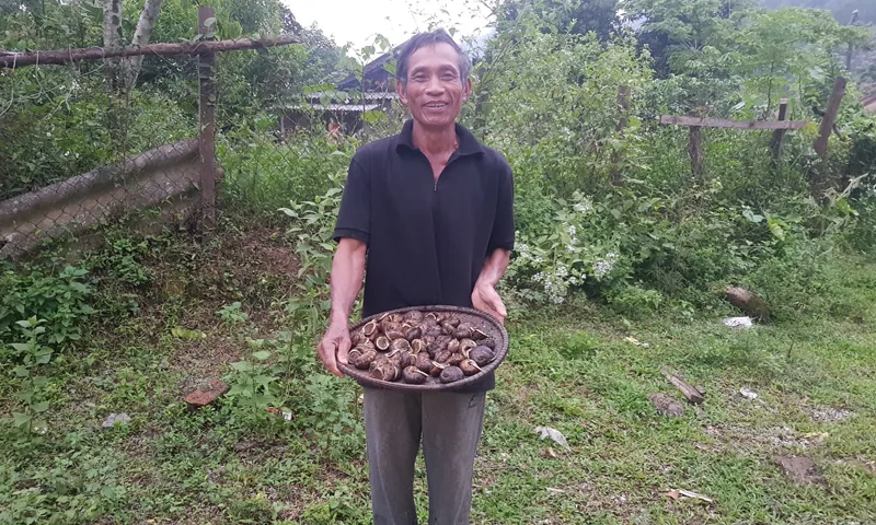 Rổ ốc lèn vừa nhặt